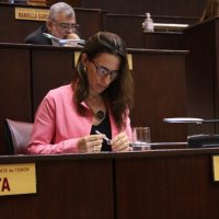 La diputada, Soledad Salaburu, propuso una serie de modificaciones a la ley provincial 2786