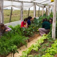 Unos 25 municipios del país fomentan las huertas orgánicas