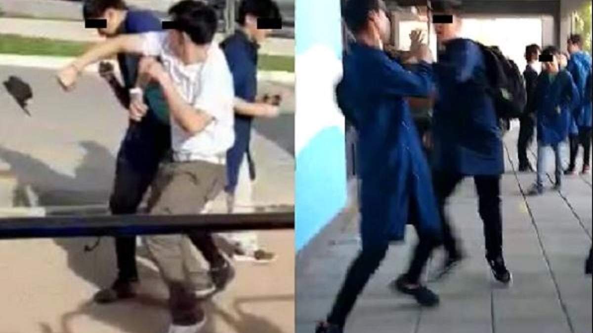 Afirman que cada vez son más los casos de violencia entre adolescentes en escuelas de Cutral Co. Fuente: (Web La Voz)