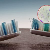 ¿Guardas mal tu cepillo? La UNAM explica cómo limpiarlo y cuándo cambiarlo