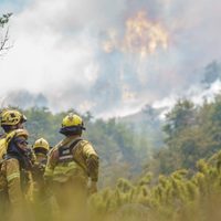 Neuquén negó una deuda con bomberos y anunció que cubrirá traslados como reconocimiento