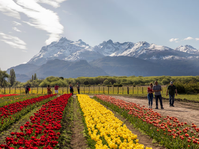 Más de un millón de flores: Trevelin, una ciudad inundada de colores