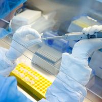 La OMS inició conversaciones con Rusia sobre la vacuna contra el coronavirus