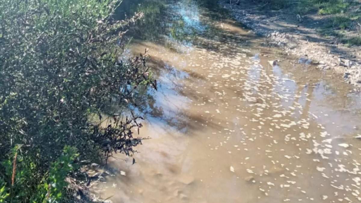 Contaminación en arroyo Las Pieritas. Fuente: La angostura digital.
