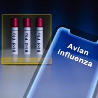 Canadá detecta el primer caso de gripe aviar en humanos