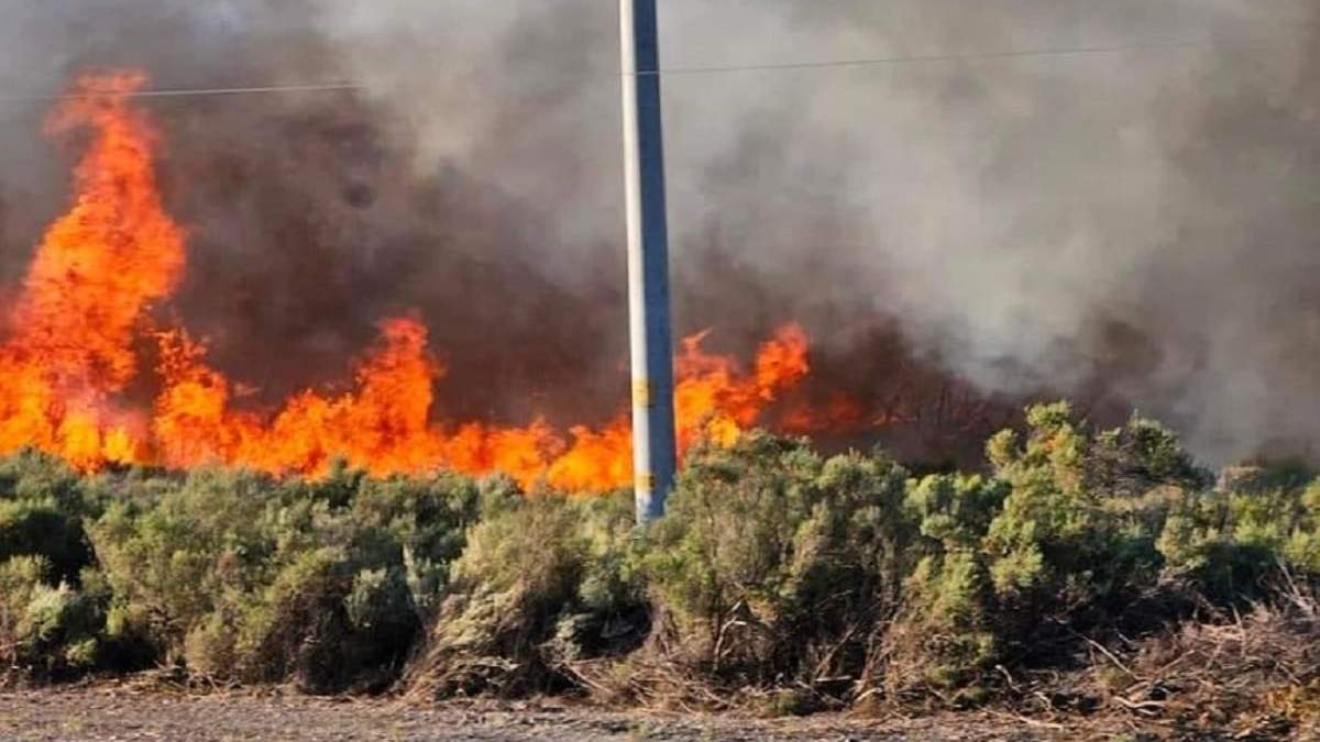 El fuego devoró 30 hectáreas de campo en Añelo. Fuente: (Facebook)