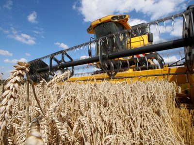 Universidad Austral: “El campo liquidó más que nunca, 19.100 millones de dólares hasta fin de junio”