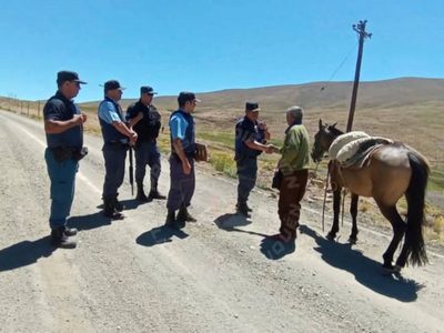 Operativo policial recupera 22 animales robados en una zona rural de El Huecú y Taquimilán