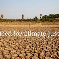 OMS pide que la salud sea "el centro" de las negociaciones sobre el cambio climático en la COP27