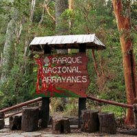 Se fundó la intendencia del Parque Nacional Los Arrayanes en Villa La Angostura