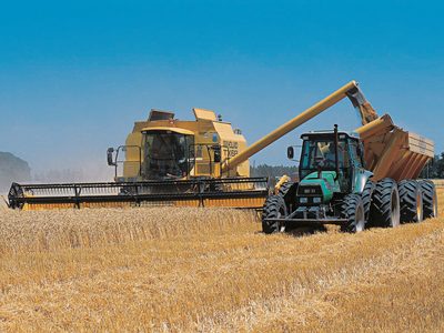 Koopmann anunció incentivo a empresas agroindustriales por el 30% de la factura eléctrica