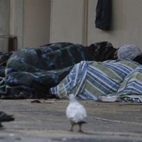 Un relevamiento del municipio de Neuquén arrojó que 170 personas se encuentran en situación de calle