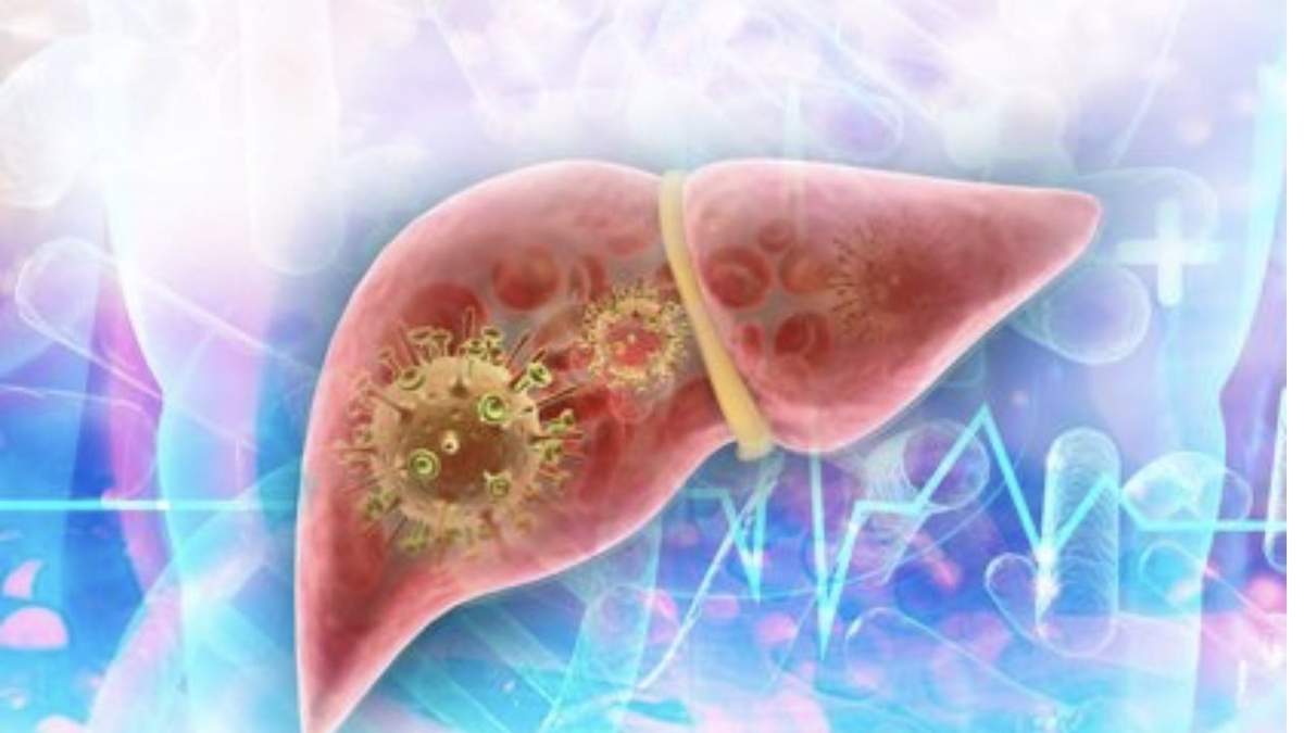 Virus de la hepatitis