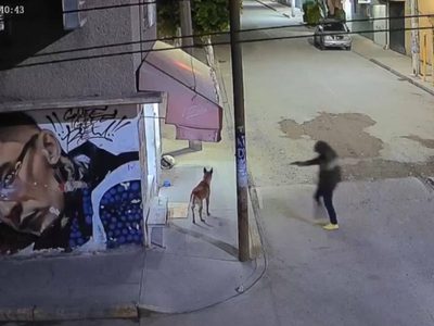 Sujeto mata a balazos a un perro en Ecatepec; el agresor sería un agente de la FGJEM