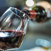 Vitivinicultura Mendocina: entre la crisis global y la urgencia de un plan estratégico