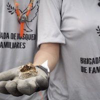 Brigada de Búsqueda encuentra restos humanos en Veracruz
