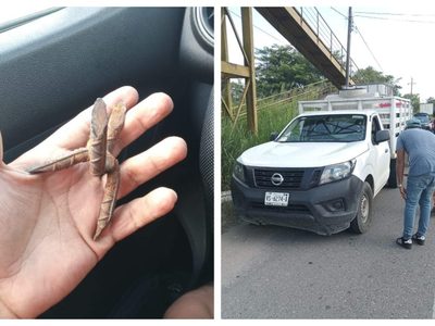 Asaltos, ponchallantas y quema de vehículos en jornada violenta en Tabasco