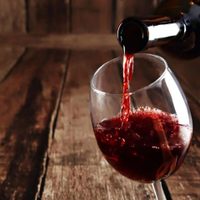 Prospera una plataforma para vender vinos de Mendoza en Estados Unidos