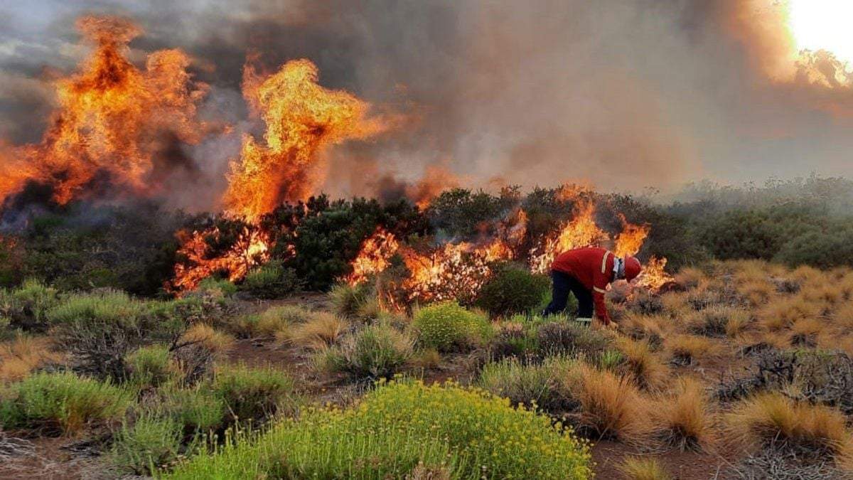 Incendio en Loncopué. Fuente: (Twitter)
