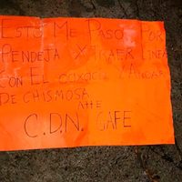 Grupo armado ejecuta a reportera en Tamaulipas