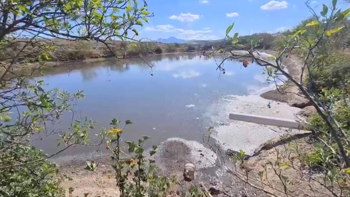 San Miguel Tequixtepec. Contaminación de lagunas