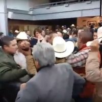 Por presupuesto, pelean a golpes diputados y campesinos en el Congreso de Chihuahua (Videos)