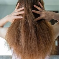 Calendario lunar: qué días de marzo tenés que cortar tu cabello para que crezca rápido, sano y vigoroso