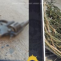Persiguió a los tiros a su vecino en Plottier y terminó detenido