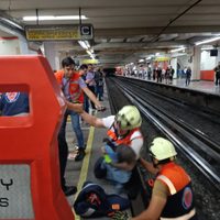 Ahora fue una gallina la que interrumpió el servicio en el Metro