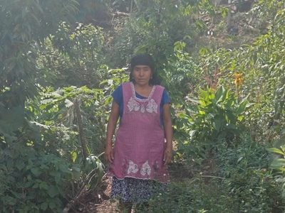 Con el apoyo de autoridades, una mujer fue desterrada y despojada de sus bienes en Oaxaca