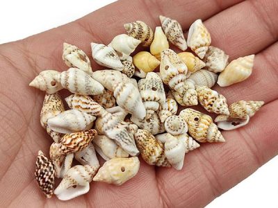 Guardate varios caracoles en la playa: así podés crear el marco de espejo más precioso y original