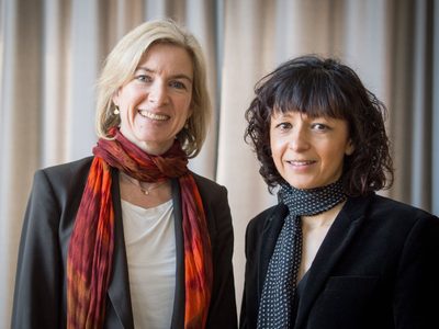 Nobel de Química para dos mujeres genetistas que lograron “cortar” el ADN
