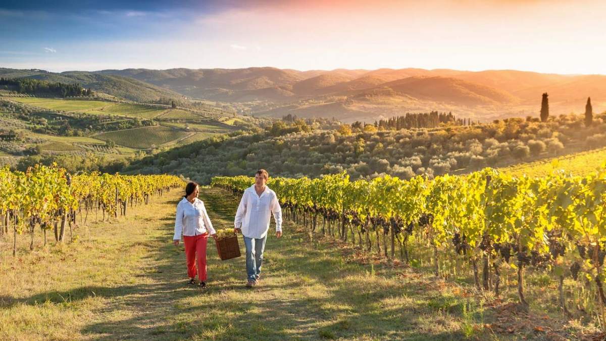 Nuevas formas de enoturismo en Mendoza. Fuente: (Twitter)