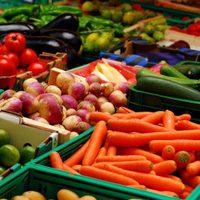 El Gobierno desreguló la importación y exportación de alimentos