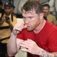 "No golpea": los dos excampeones que criticaron a Canelo Álvarez
