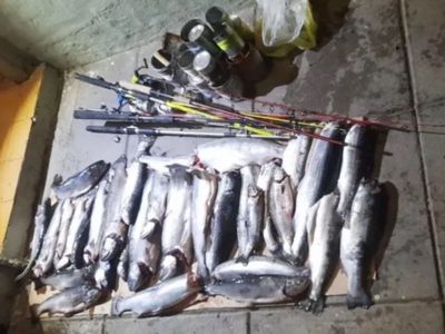 Secuestran más de 70 truchas en operativos que buscan proteger la biodiversidad de Neuquén