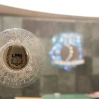 Clubes de la LMB perderán entre uno y tres millones de pesos al mes por cancelar la temporada