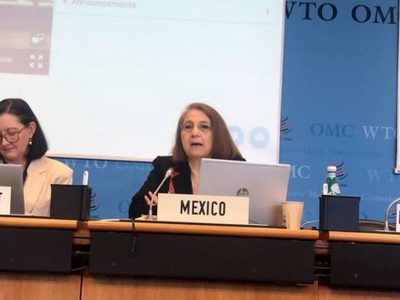Buenrostro pide renuncia a Luz María de la Mora como subsecretaria de Comercio Exterior