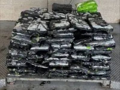 CBP incauta metanfetamina valuada en más de 7.6 mdd en cargamento de rosas de México a EU