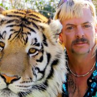 ¡Netflix no falla! Mirá esta miniserie sobre la polémica vida de Joe Exotic, el criador de tigres