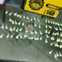 Secuestran armas, drogas y dinero en un operativo antinarcóticos en Centenario