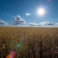 Alianza con Cataluña: oportunidad para modernizar el campo mexicano