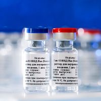 Argentina va a adquirir 25 millones de dosis de la vacuna contra el coronavirus Sputnik V