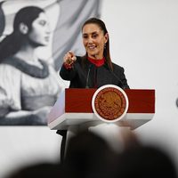 Cierre de frontera de EU por un caso de gusano barredanor es exagerado: Sheinbaum