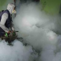 OMS autoriza segunda vacuna contra el dengue