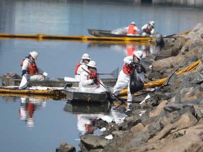 "Catástrofe ambiental": un gran derrame de petróleo golpea a la fauna y las playas de California