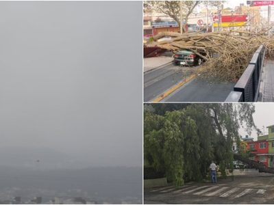CDMX registra aire EXTREMADAMENTE malo y decenas de árboles caídos tras tolvanera