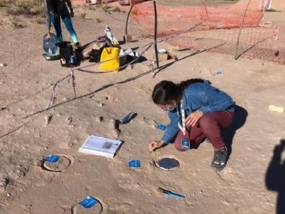 Descubren restos de un nuevo dinosaurio depredador