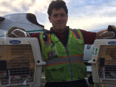 Entra al aeropuerto de Seattle, roba un avión y después lo estrella en una isla (video)