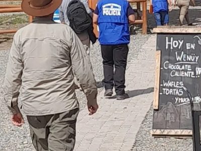 San Martín de los Andes: allanaron Nieves del Chapelco por tala ilegal de lengas